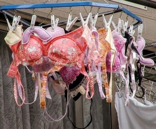 女性用下着を他人の家の物干し竿に干した男、逮捕される