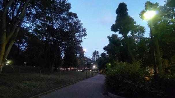【動画】ドMまんさん、夜の公園で裸で四つん這いになってるところを通行人に見せつけて大興奮してしまう