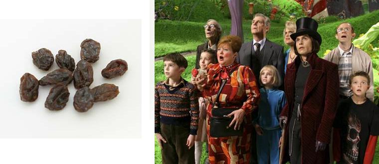 ��������פ���ޤ���