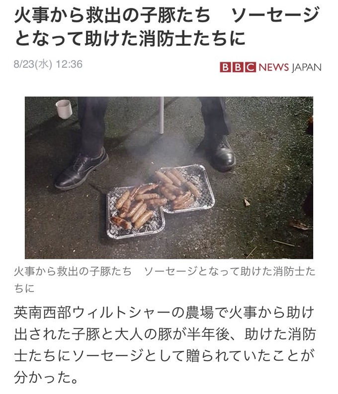 【感動】火事から救出された子豚たち、ソーセージとなって助けた消防士たちに恩返し