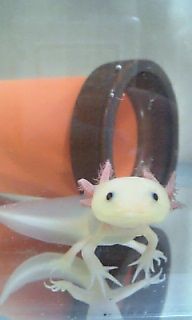 �����ѡ�