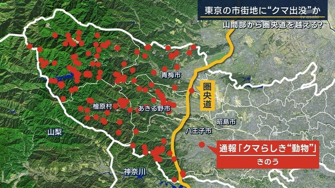 【悲報】クマ、ついに東京都心へ向けて進撃を開始！！