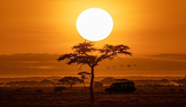 【動画】アフリカのキャバクラｗｗｗｗｗｗ