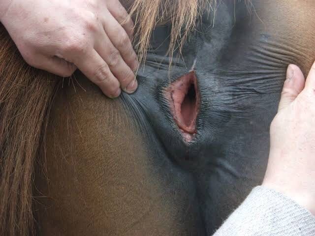uma10