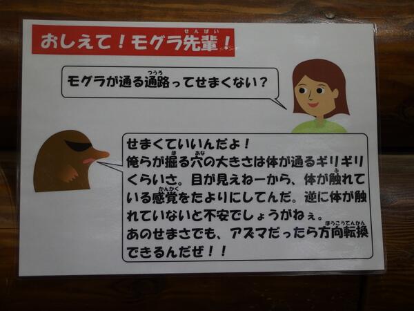 mogu6