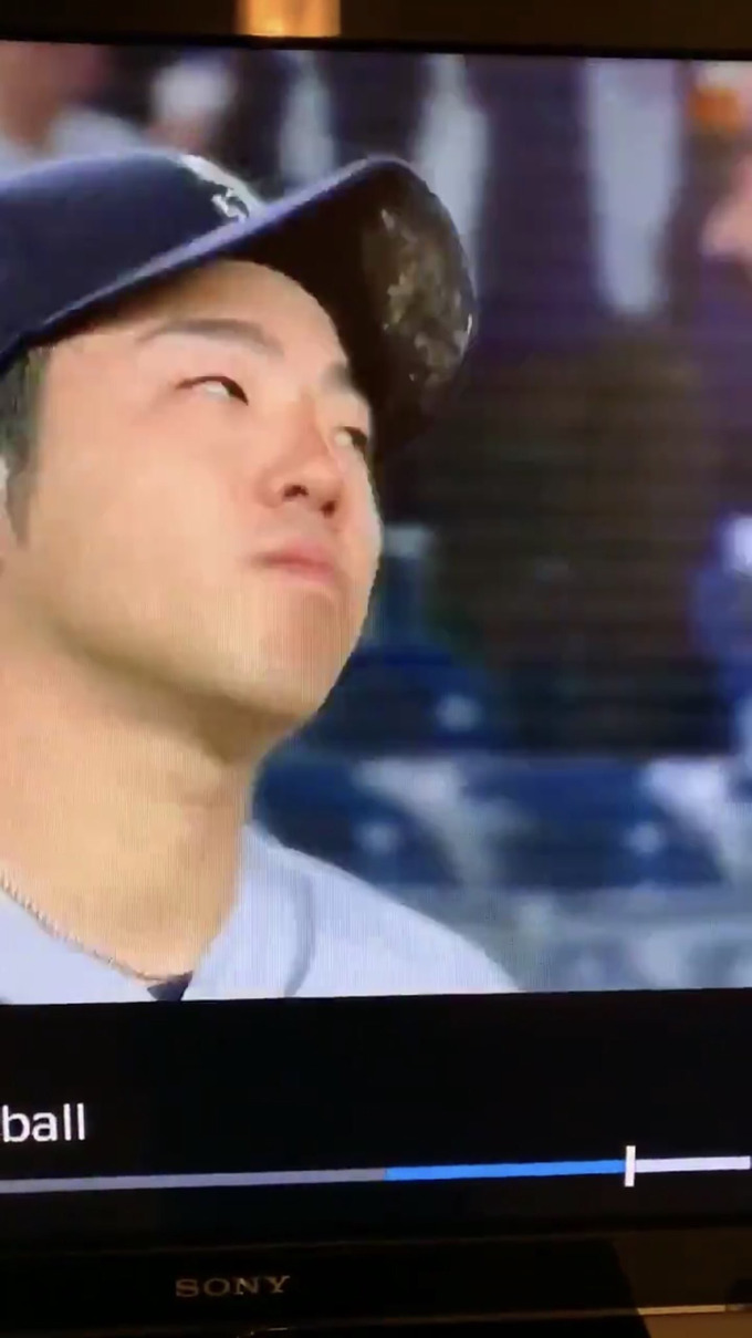 kiku2