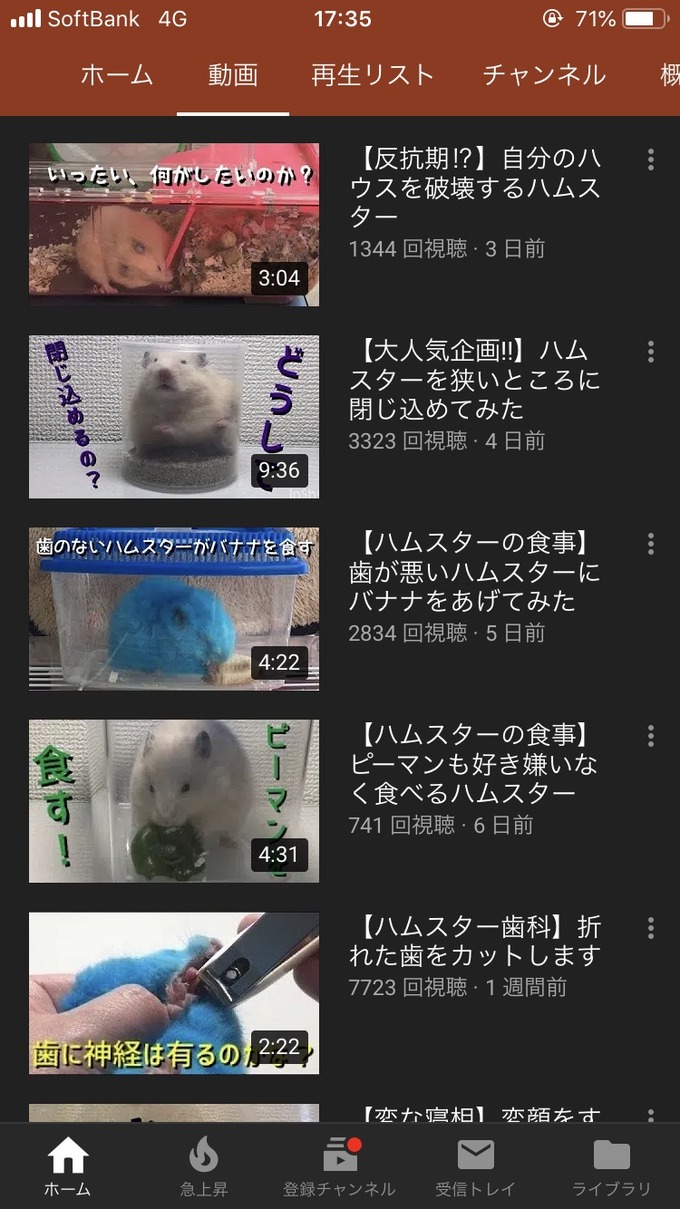 ham5