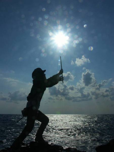 �������ʥ�ե������֥ꥶ���ɤ��й��Ǥ����°������ˡ