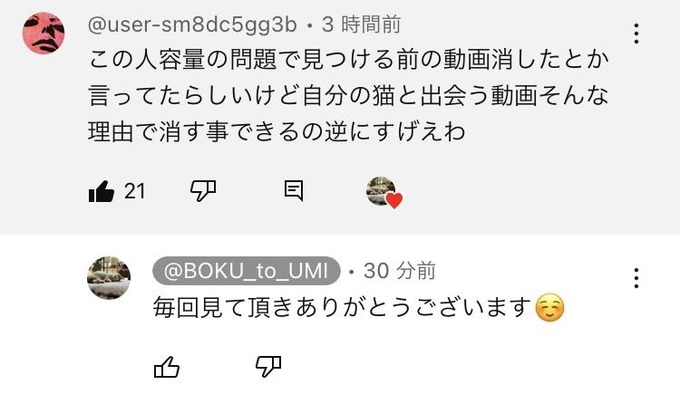 【速報】海で溺れてる猫を偶然救助したYouTuber、ついに反撃開始！！