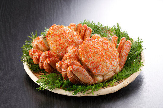 【閲覧注意】セクシー女優さん、「毛ガニ」を披露してしまう