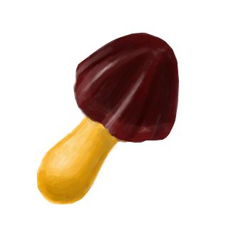 ���Τ�