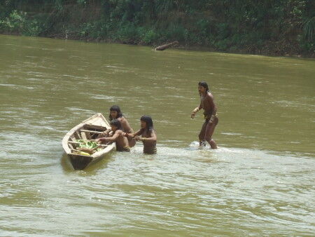 【動画】NHK、ジャングルに住む謎のデカ乳族の撮影に成功