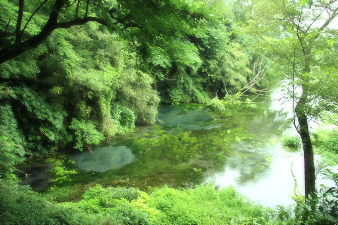 【動画】ヤバい爺さん、美女につきまとう