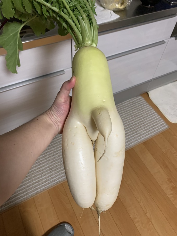 daikon