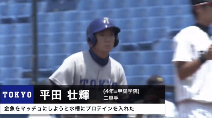 東京大学野球部のとんでもない部員が発見される