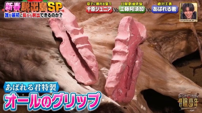 【悲報】あばれる君、無人島でオ●ホールを作ってしまい炎上
