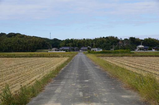 農道にこんな格好の女いたらどうする？