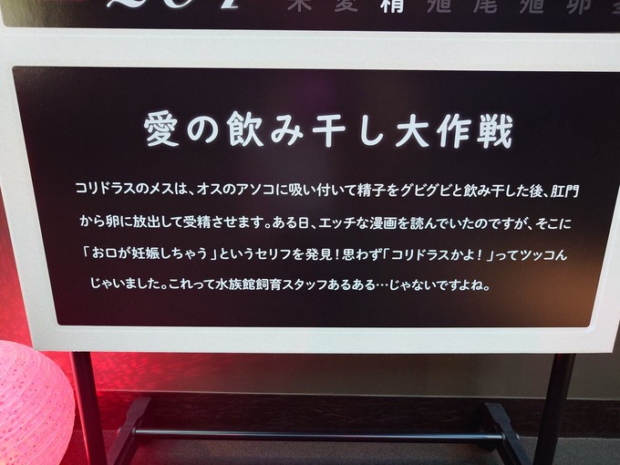 【悲報】水族館スタッフ、一線を越える