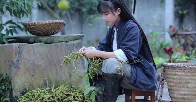 inaka2