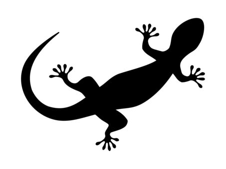 【動画】生まれて初めてメスを見たオスのトカゲがこちらです