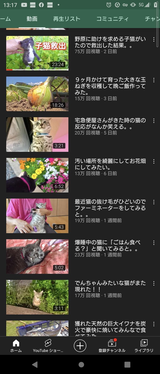 neko4