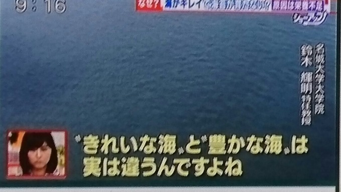 saga