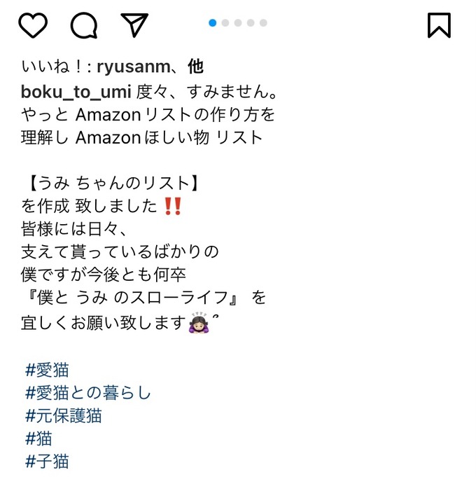 【悲報】海で猫を拾ったYouTuberさん、Amazon欲しいものリストを公開してしまう
