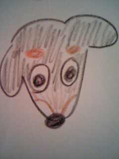 �����ԡ�����������������