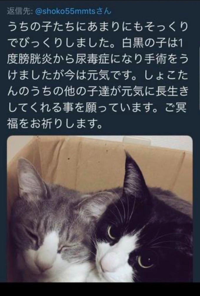 naka7