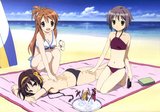 ハルヒのケツの触り心地について考察するスレ