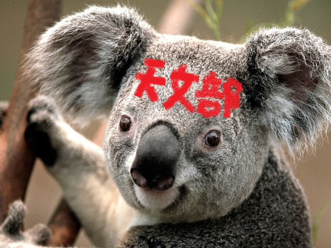 po9