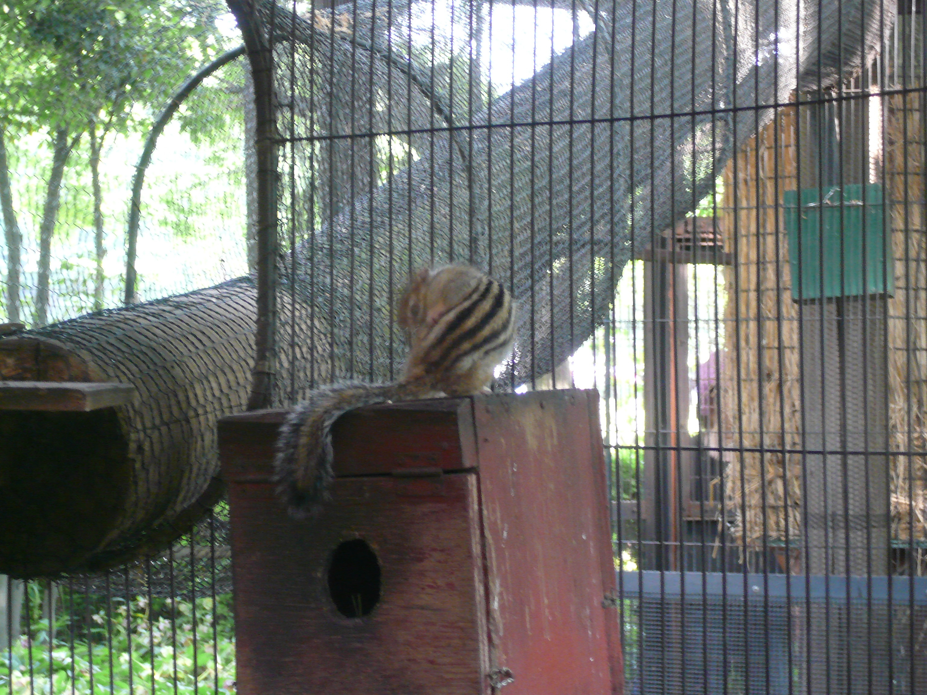 チョコレート工場 A Time To Keep