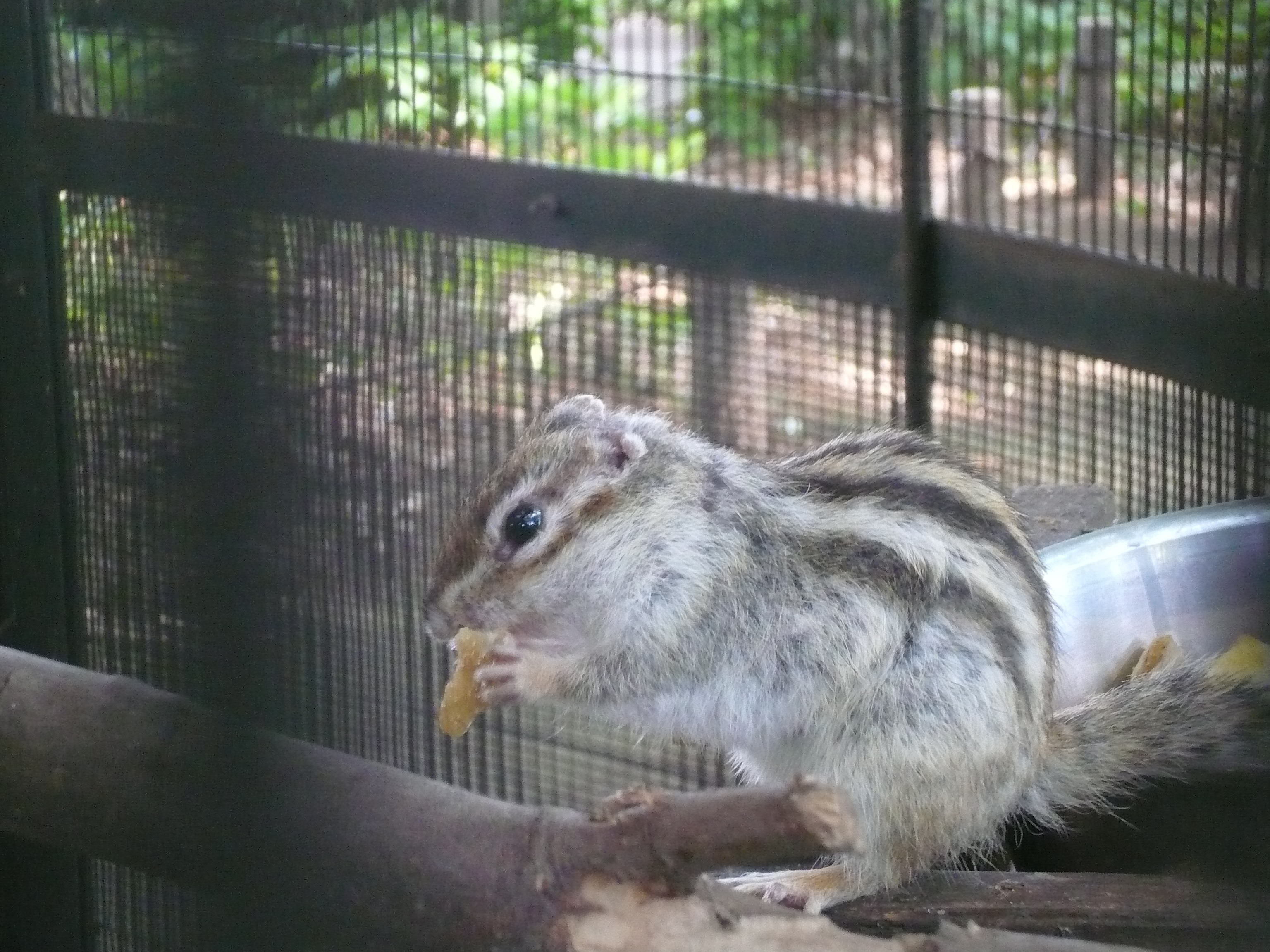 チョコレート工場 A Time To Keep