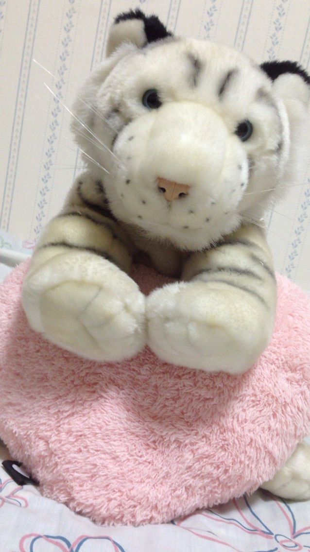 白い獣 みちゃこのモフコレ 白い獣 みちゃこのモフコレ