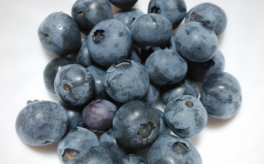 blueberry1