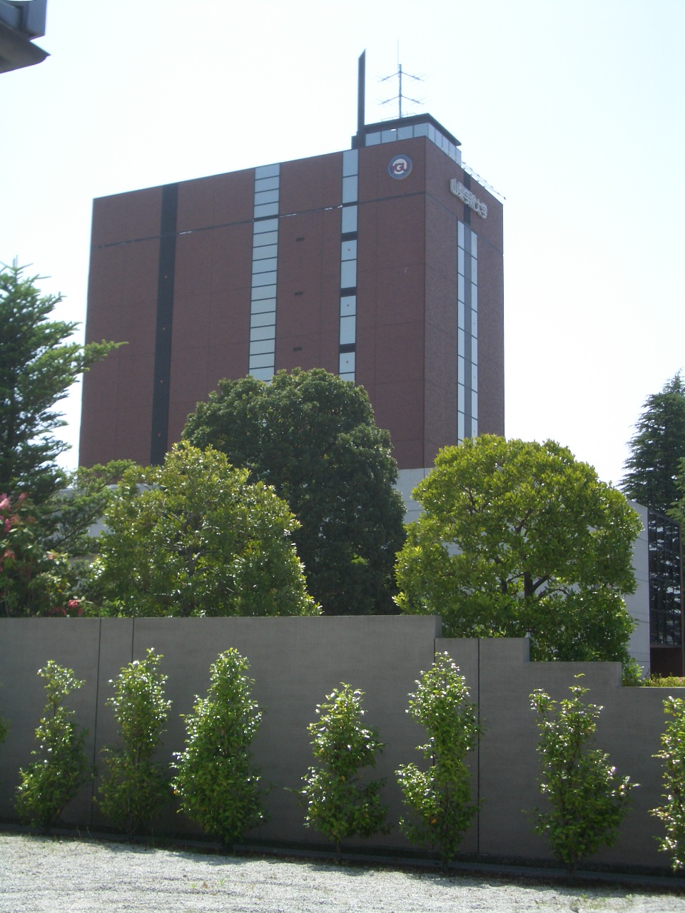 山梨大学