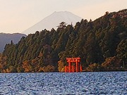 20191110小田原提灯7