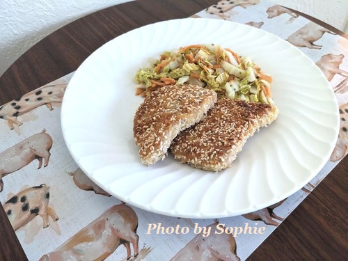 ポークカツレツの白菜サラダ添え