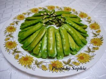 ���䤨��ɤ��εͤ�ʪ