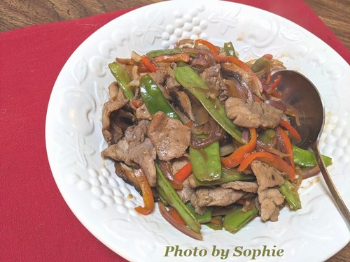 豚肉の甘辛炒め