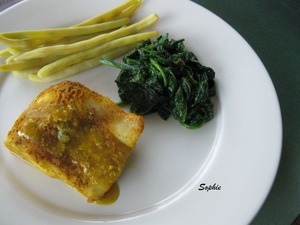 ����󥸥�ե��������ѥ�����