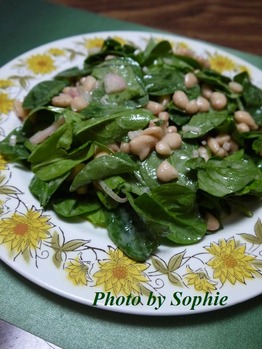 �ۤ���������Ʀ�Υ����