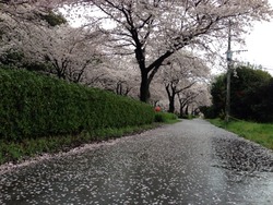 2014-03-29-15-42-45