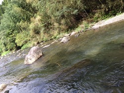 2014-09-25-11-49-43