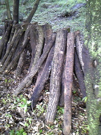 DVC00890