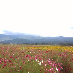 2014-10-11-14-58-05