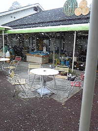 DVC00477