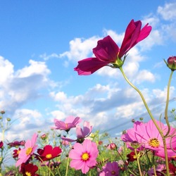 2014-09-27-06-58-35