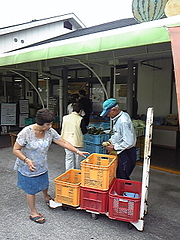 �������ȥ�����