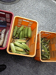 �������ȥ�����